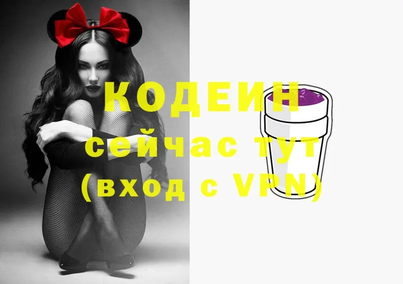 наркота  Петропавловск-Камчатский  Кодеиновый сироп Lean напиток Lean (лин) 